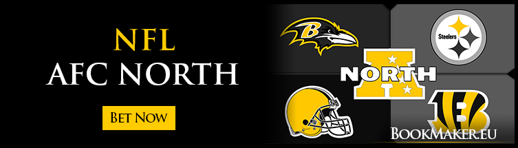 AFC North Odds to Win